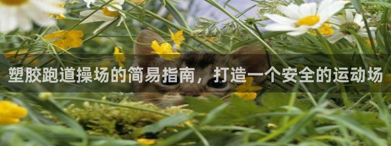 尊龙凯时链接：塑胶跑道操场的简易指南，打造一个安全的