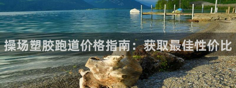 尊龙人生就是博旧版现金娱乐一下：操场塑胶跑道价格指南：获取最佳性价比