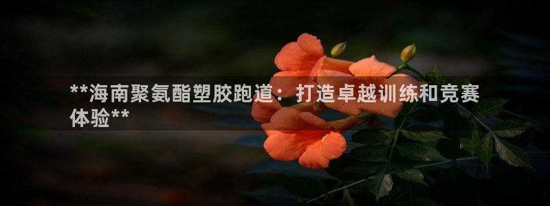 尊龙一生也走不出自己的童年：**海南聚氨酯塑胶跑道：