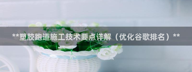 尊龙凯时捕鱼游戏能玩吗：**塑胶跑道施工技术要点详解（优化谷歌排名）**