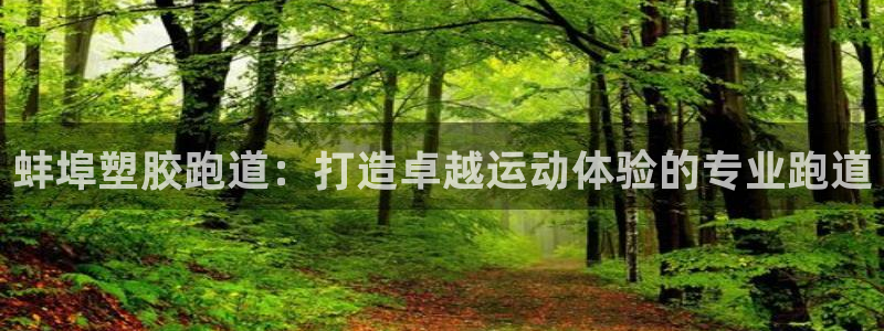 尊龙官网首页：蚌埠塑胶跑道：打造卓越运动体验的专业跑道