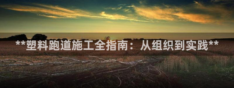 尊龙凯时取款不成功：**塑料跑道施工全指南：从组织到实践**