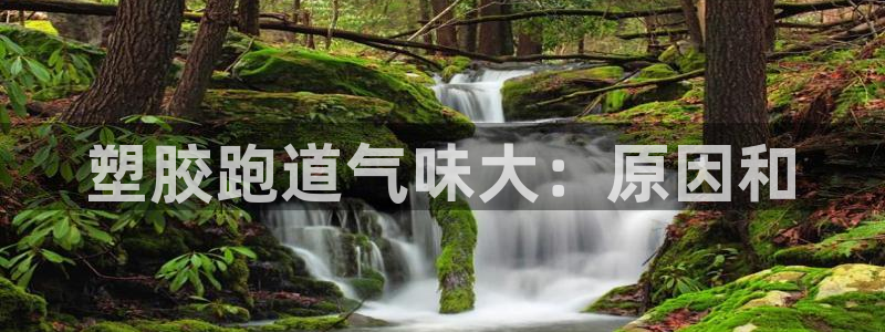 尊龙凯时几百万怎么下款：塑胶跑道气味大：原因和