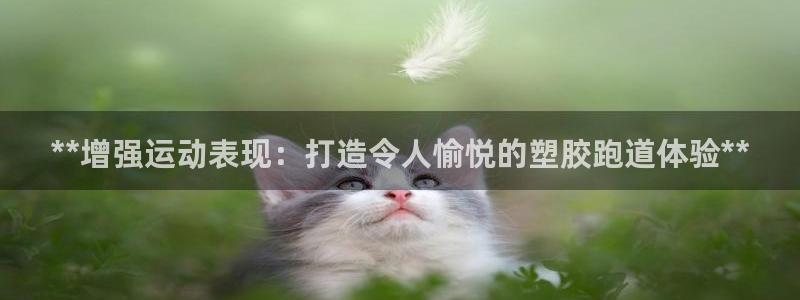 尊龙凯时：**增强运动表现：打造令人愉悦的塑胶跑道体验**