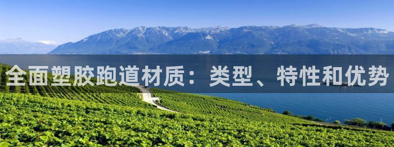 首页尊龙d88国际：全面塑胶跑道材质：类型、特性和优