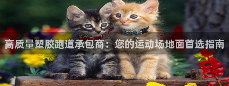 尊龙凯时存款不上分：高质量塑胶跑道承包商：您的运动场