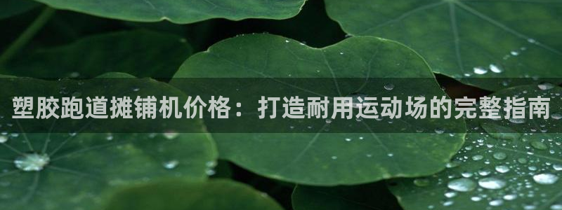 尊龙这个平台怎么样：塑胶跑道摊铺机价格：打造耐用运动