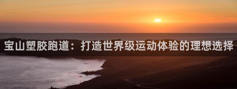 尊龙人生就是博旧版现：宝山塑胶跑道：打造世界级运动体验的理想选择