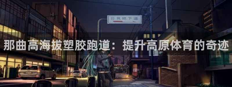 尊龙凯时不朽情缘：那曲高海拔塑胶跑道：提升高原体育的奇迹