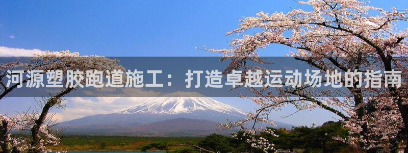 尊龙凯时人生就是搏!官网：河源塑胶跑道施工：打造卓越运动场地的指南