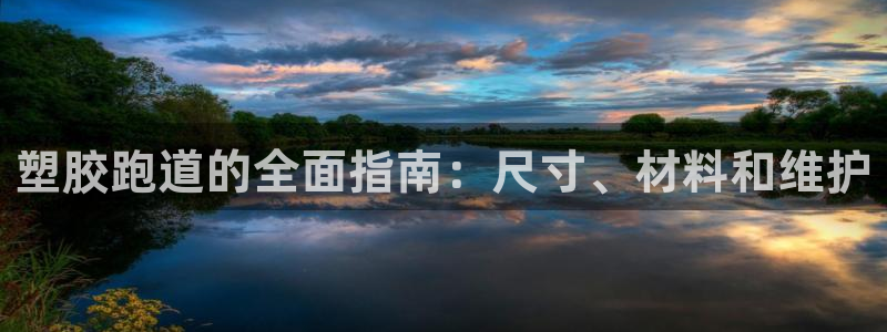 尊龙官网在哪里：塑胶跑道的全面指南：尺寸、材料和维护