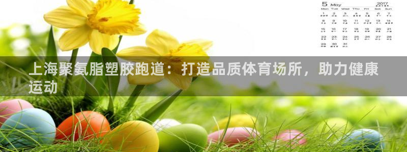 尊龙游戏中心：上海聚氨脂塑胶跑道：打造品质体育场所，