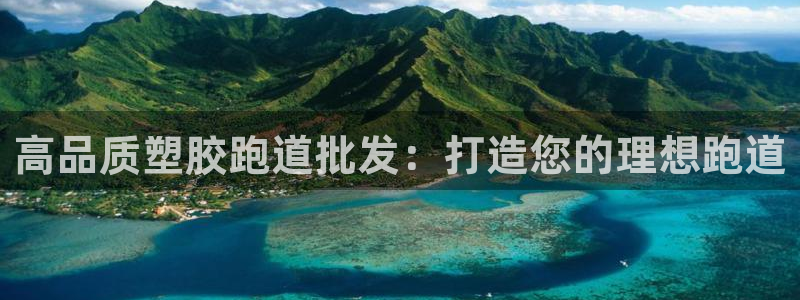 d88尊龙凯时：高品质塑胶跑道批发：打造您的理想跑道