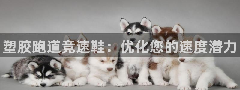 尊龙凯时怎么注册：塑胶跑道竞速鞋：优化您的速度潜力