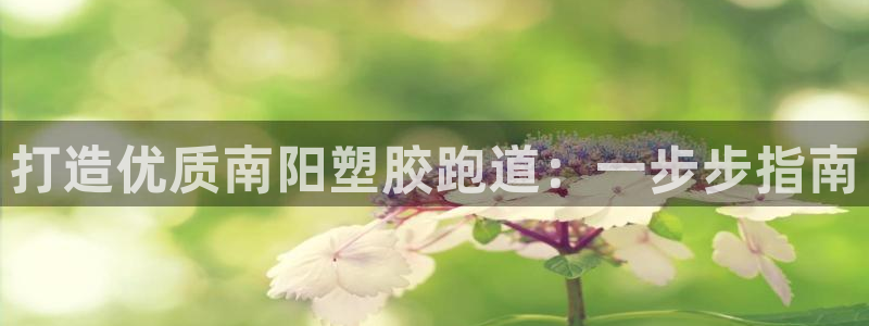 尊龙d88手机版下载：打造优质南阳塑胶跑道：一步步指