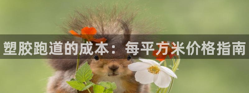 尊龙凯时：塑胶跑道的成本：每平方米价格指南