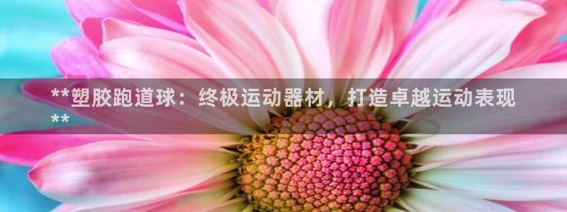 尊龙凯时ag旗舰厅官网客服：**塑胶跑道球：终极运动器材，打造卓越运动表现
**