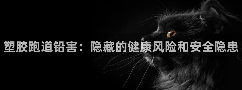 尊龙D88现金旧版：塑胶跑道铅害：隐藏的健康风险和安全隐患