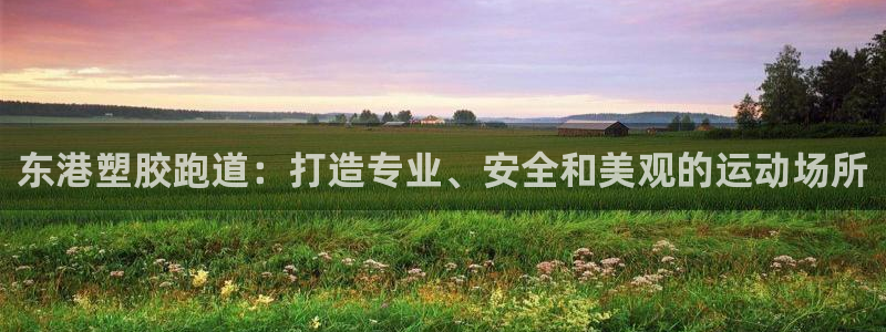 凯时国际app登录：东港塑胶跑道：打造专业、安全和美观的运动场所