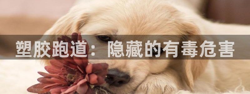 尊龙凯时俱乐部：塑胶跑道：隐藏的有毒危害