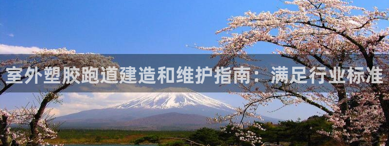 z6com尊龙：室外塑胶跑道建造和维护指南：满足行业标准