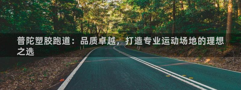 尊龙官网入口：普陀塑胶跑道：品质卓越，打造专业运动场地的理想
之选