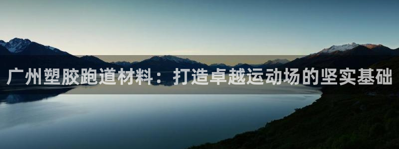 尊龙多少岁：广州塑胶跑道材料：打造卓越运动场的坚实基