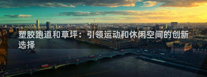 尊龙负面新闻：塑胶跑道和草坪：引领运动和休闲空间的创新
选择