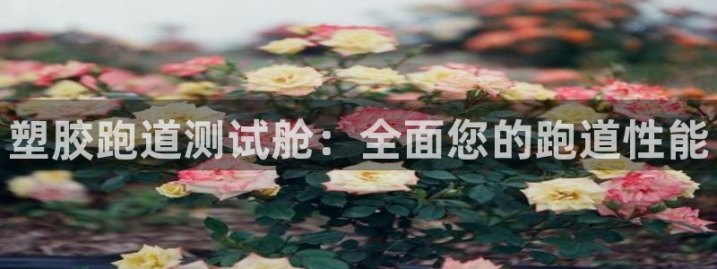 尊龙AG旗舰厅APP：塑胶跑道测试舱：全面您的跑道性能