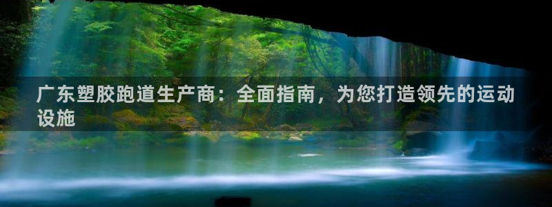 尊龙凯时账号异常审核提不了款怎么办：广东塑胶跑道生产商：全面指南，为您打造领先的运动
设施