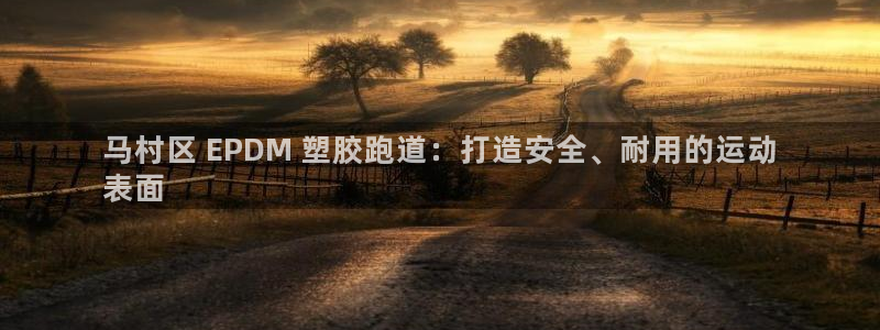 尊龙凯时平台怎么样：马村区 EPDM 塑胶跑道：打造安全、耐用的运动
表面