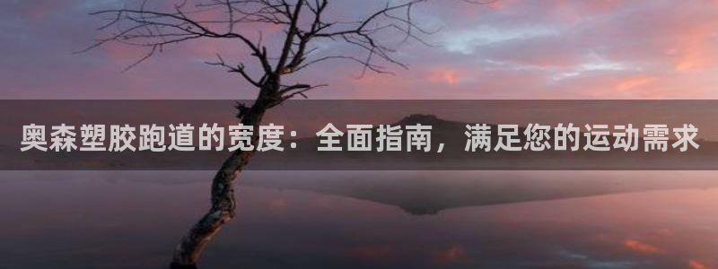 尊龙凯时怎么注册：奥森塑胶跑道的宽度：全面指南，满足您的运动需求