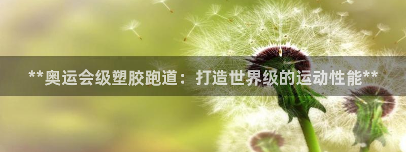 尊龙凯时最新平台登陆：**奥运会级塑胶跑道：打造世界级的运动性能**