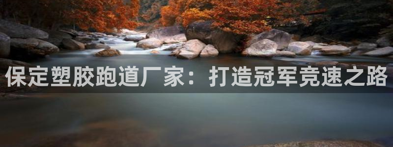 凯时尊龙app国际官方网站：保定塑胶跑道厂家：打造冠军竞速之路
