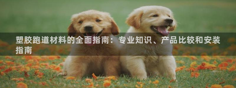 尊龙凯时不给提款：塑胶跑道材料的全面指南：专业知识、产品比较和安装
指南