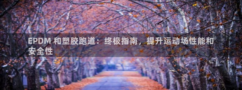 尊龙官方网站最新版V9.3.06介绍：EPDM 和塑