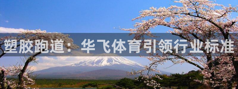 尊龙王t400：塑胶跑道：华飞体育引领行业标准