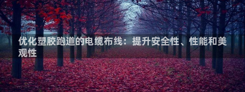 尊龙凯时怎么注册：优化塑胶跑道的电缆布线：提升安全性、性能和美
观性