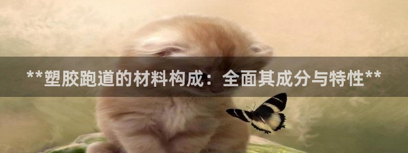 尊龙人生就是博官