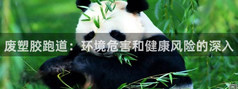 尊龙凯时官网版登录：废塑胶跑道：环境危害和健康风险的深入