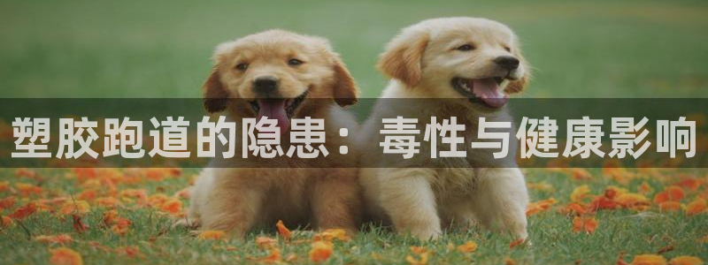 尊龙人生就是博首页：塑胶跑道的隐患：毒性与健康影响