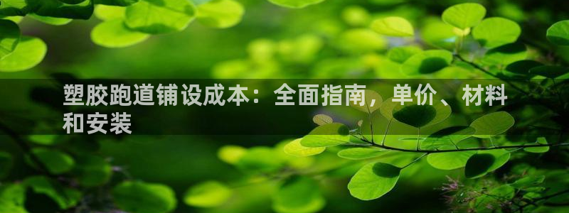 尊龙凯时城游戏官网：塑胶跑道铺设成本：全面指南，单价、材料
和安装