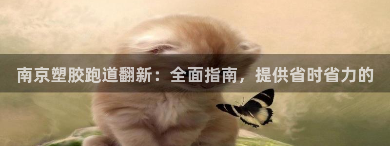 尊龙凯时有限公司：南京塑胶跑道翻新：全面指南，提供省时省力的
