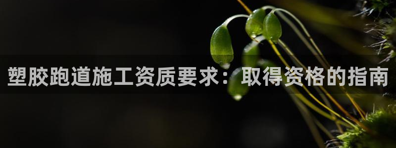 尊龙传奇英文怎么写：塑胶跑道施工资质要求：取得资格的指南