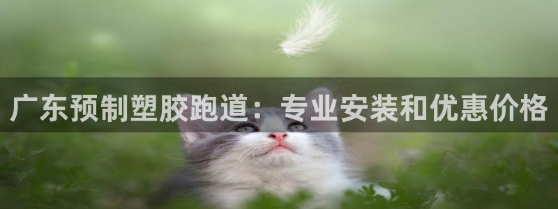 尊龙凯时登入首页：广东预制塑胶跑道：专业安装和优惠价格