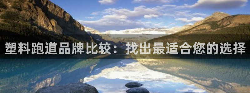 尊龙AG旗舰店：塑料跑道品牌比较：找出最适合您的选择