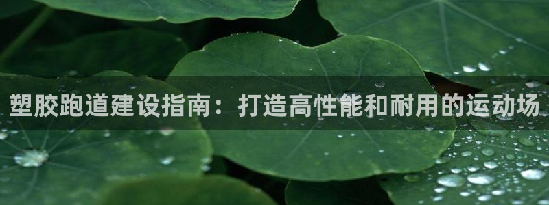尊龙凯时电竞注册：塑胶跑道建设指南：打造高性能和耐用的运动场