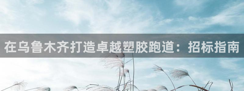 尊龙注册码：在乌鲁木齐打造卓越塑胶跑道：招标指南