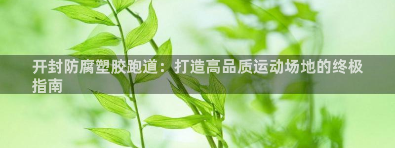 z6尊龙平台是哪里的：开封防腐塑胶跑道：打造高品质运动场地的终极
指南