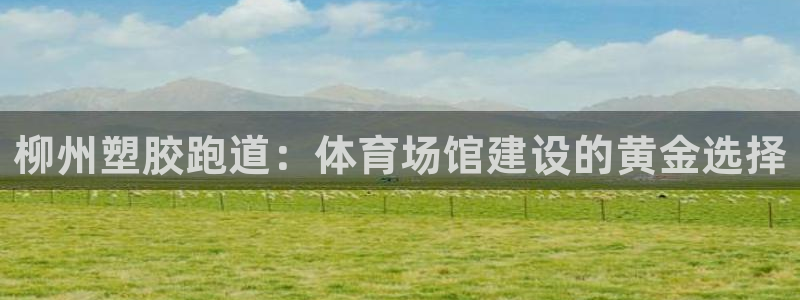 尊龙人生就是博官方官网：柳州塑胶跑道：体育场馆建设的